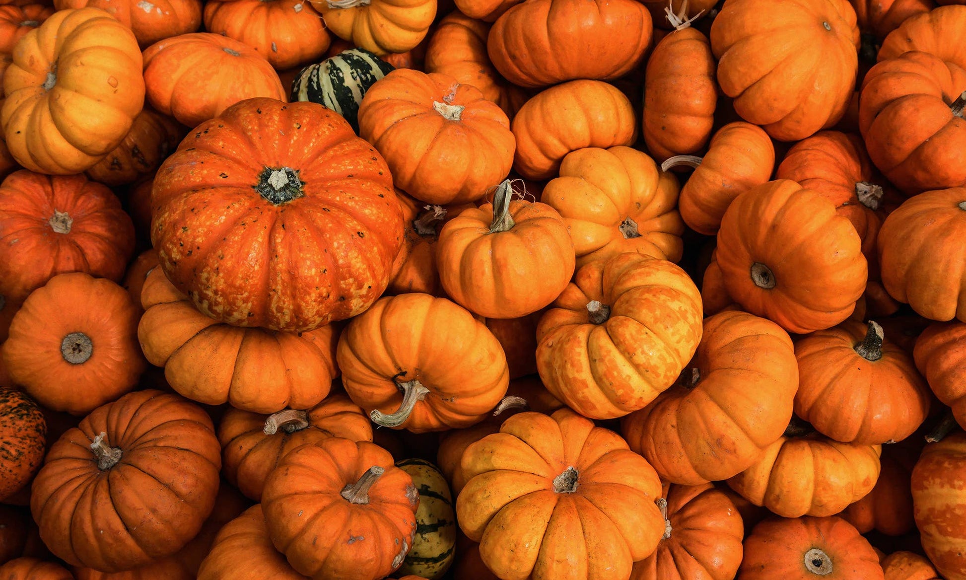 22 oz Butter Jar Candle: Hey, Pumpkin!
