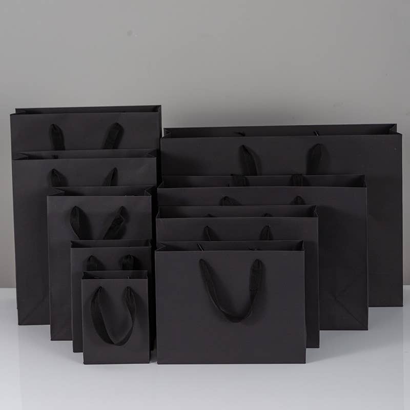 10pc, All Black Cotton Handle Paper Gift Bag w/ free tissue