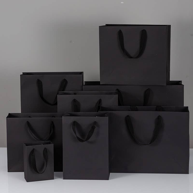 10pc, All Black Cotton Handle Paper Gift Bag w/ free tissue