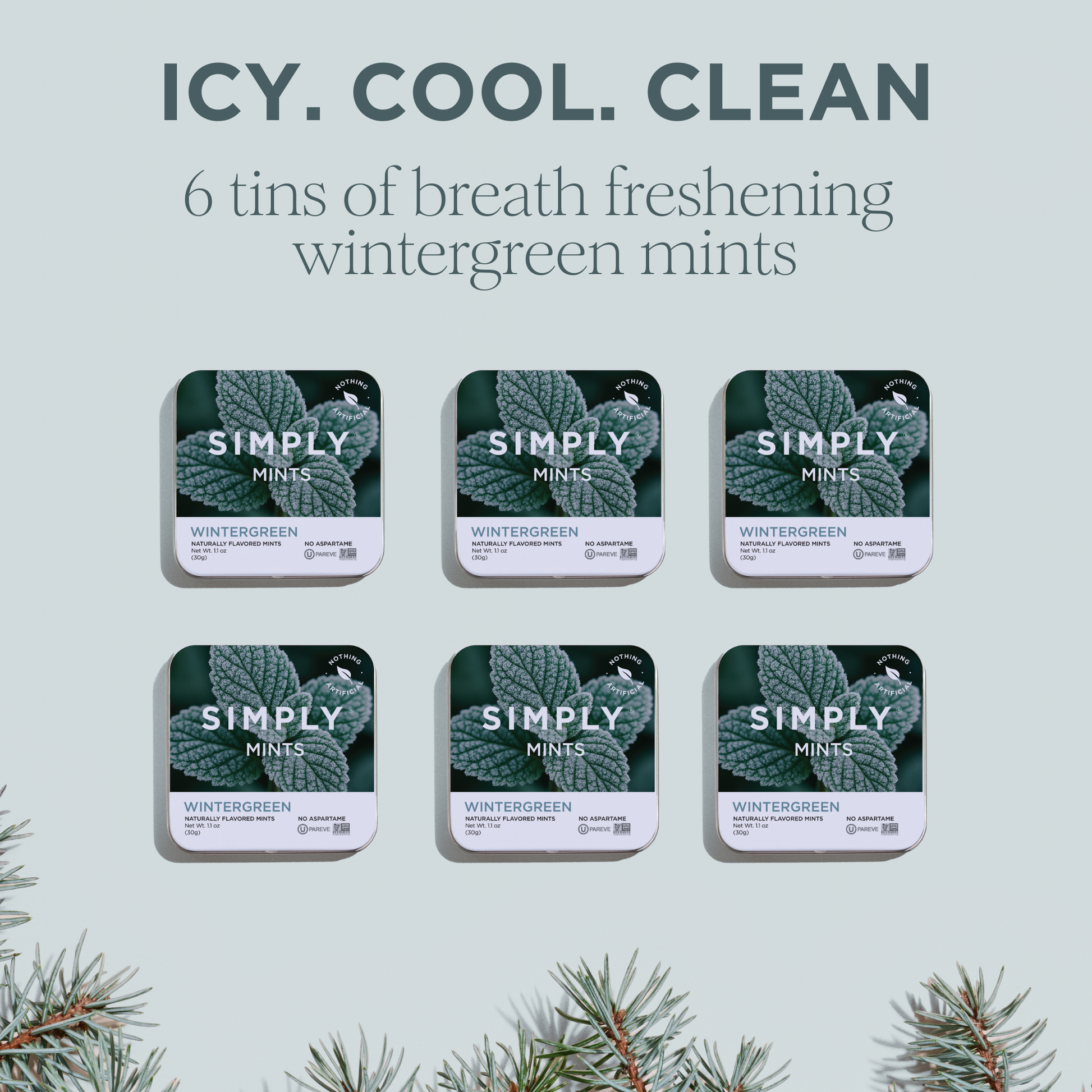 Simply Mints - Wintergreen | Pack of Six