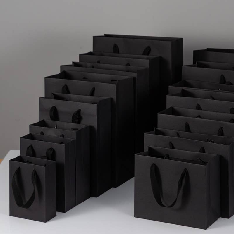 10pc, All Black Cotton Handle Paper Gift Bag w/ free tissue