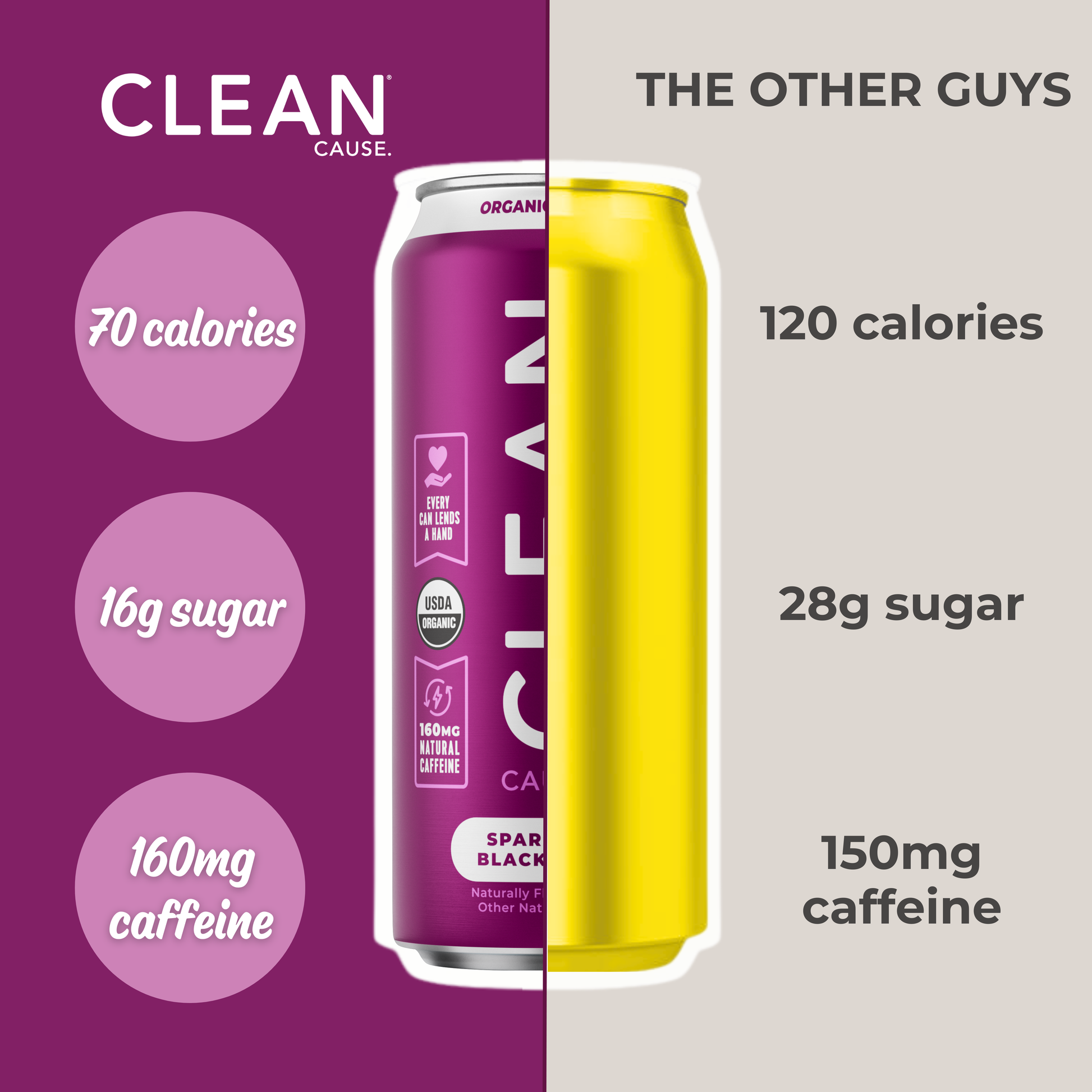Organic Blackberry Sparkling Yerba Mate Tea – 12-Pack