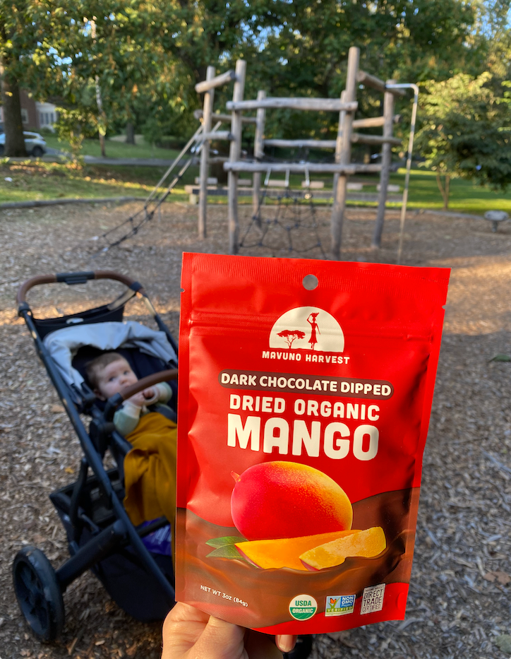 Organic Dark Chocolate Dipped Dried Mango, 6-pack case