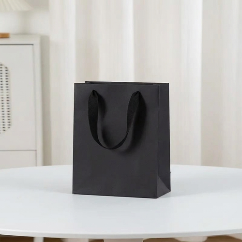 10pc, All Black Cotton Handle Paper Gift Bag w/ free tissue