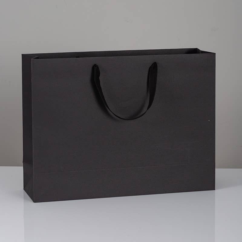 10pc, All Black Cotton Handle Paper Gift Bag w/ free tissue