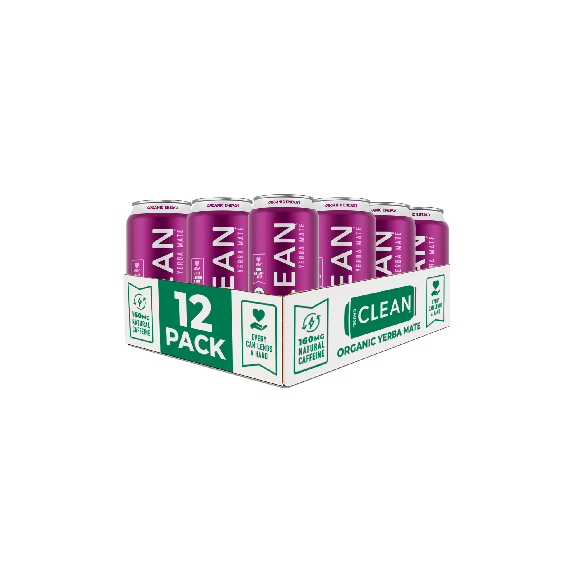 Organic Blackberry Sparkling Yerba Mate Tea – 12-Pack