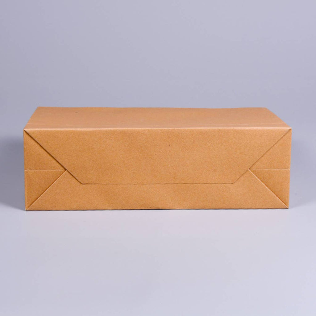 Premium Threaded Rope Kraft Brown Paper Gift Bag w/ tissue