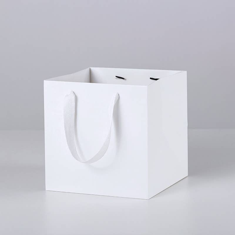 All White Square Cotton Handle Paper Gift Bag w/ free tissue