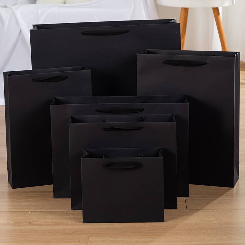 10pc, All Black Cotton Handle Paper Gift Bag w/ free tissue